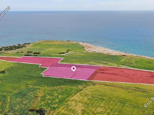 land for sale mazotos larnaca 8376735 image 14636204