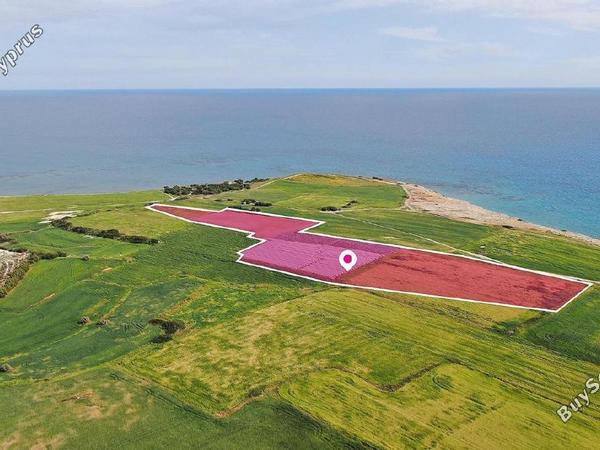 land for sale mazotos larnaca 8376735 image 14636207