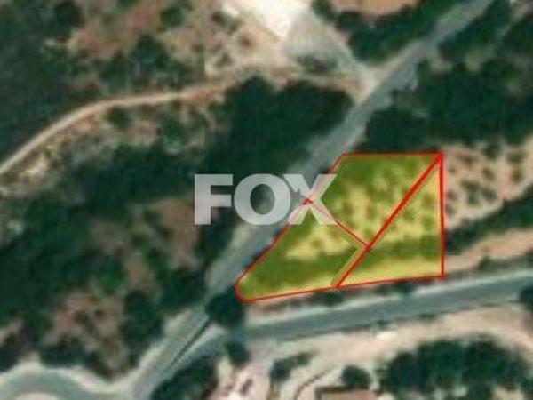 plot for sale mesogi paphos 1158735 image 5502734