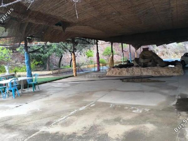 studio restaurant for sale agios epifanios oreinis nicosia 8156735 image 13488541