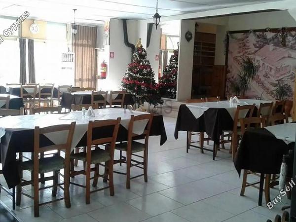 studio restaurant for sale agios epifanios oreinis nicosia 8156735 image 13488542