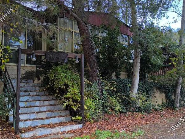 studio restaurant for sale agios epifanios oreinis nicosia 8156735 image 13488543