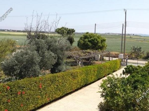 3 bedroom detached house for sale kiti larnaca 7905835 image 14288382