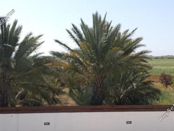 3 bedroom detached house for sale kiti larnaca 7905835 image 15087300