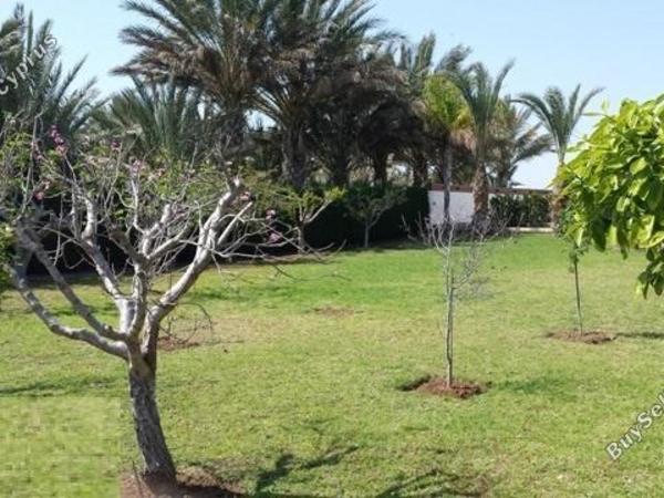3 bedroom detached house for sale kiti larnaca 7905835 image 15960683