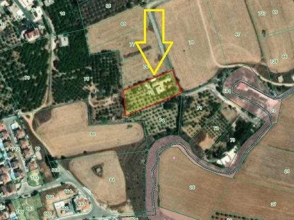 3 bedroom detached house for sale vrysoulles famagusta 644835 image 1050633