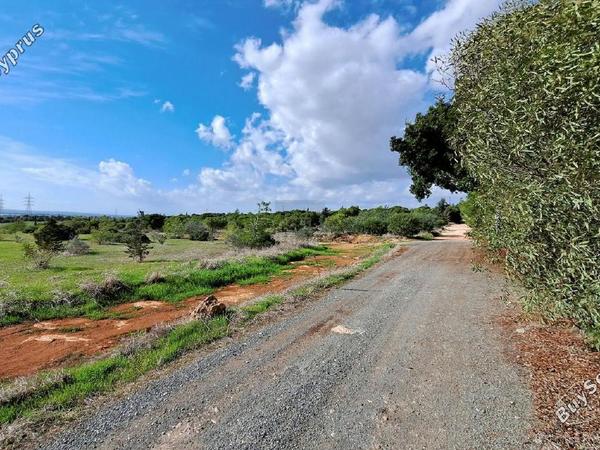 4 bedroom detached house for sale ayia napa famagusta 1281835 image 5917838