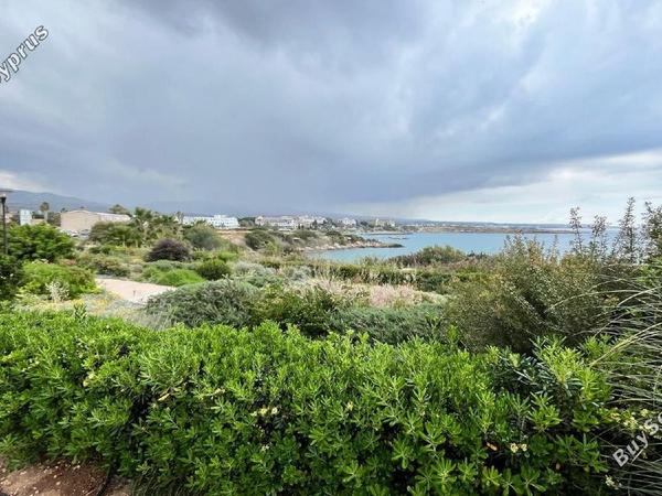 5 bedroom detached house for sale coral bay paphos 7773835 image 16293168