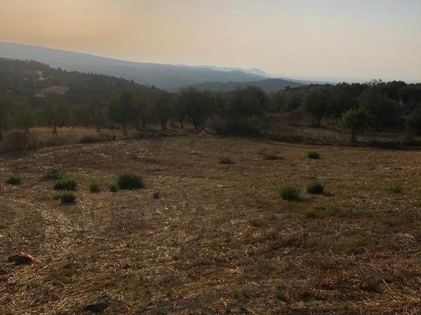 land for sale simou paphos 1104835 image 1382955