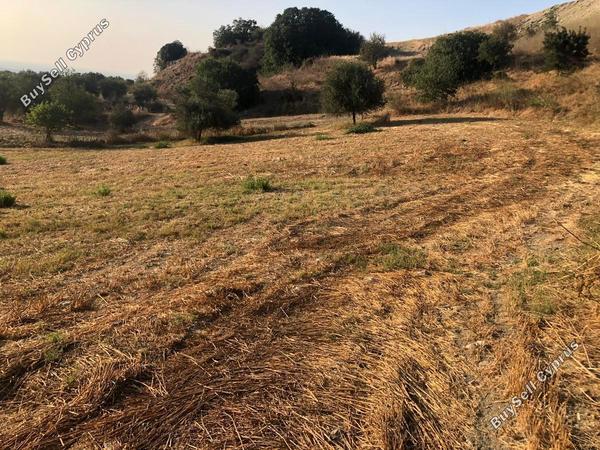 land for sale simou paphos 1104835 image 1382956