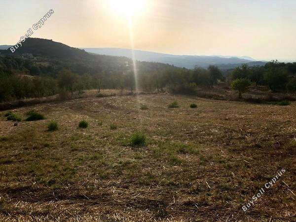 land for sale simou paphos 1104835 image 1382957