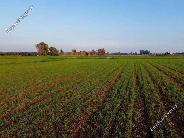 land for sale xylofagou larnaca 8804835 image 16802000