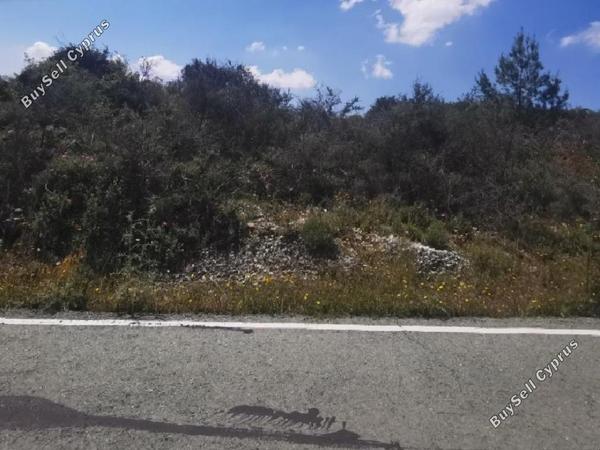 land for sale kritou tera paphos 1215935 image 15601925