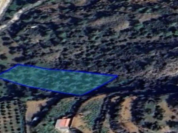 land for sale lythrodontas nicosia 1261935 image 16176065
