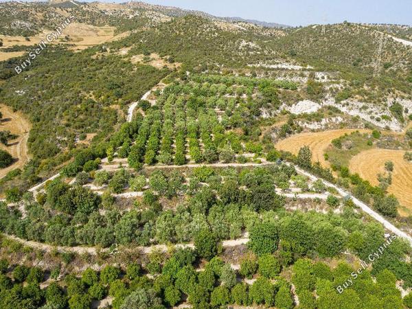 land for sale skarinou larnaca 945935 image 15867372
