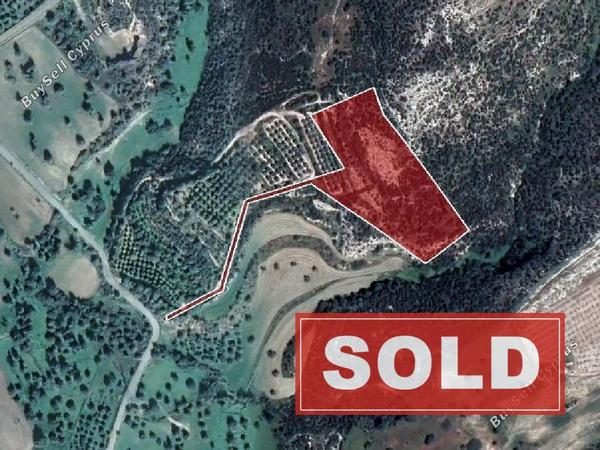 land sold skarinou larnaca 945935 image 15867370