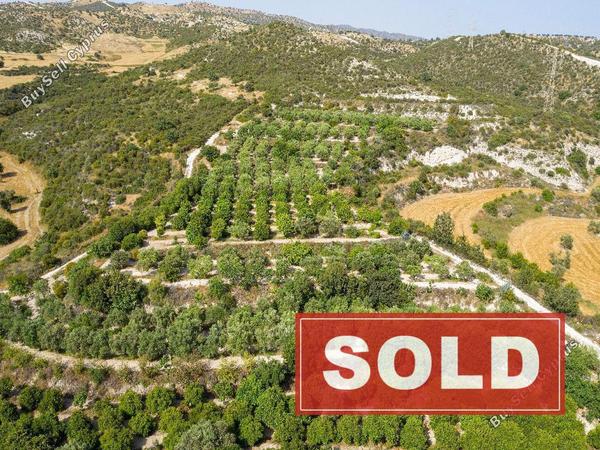 land sold skarinou larnaca 945935 image 15867372