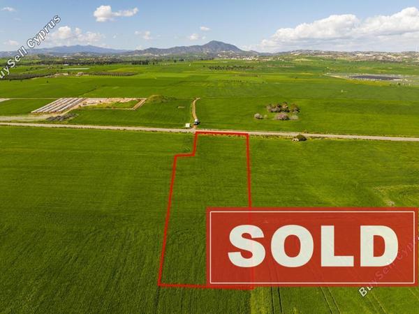 land sold softades larnaca 8301935 image 14083882