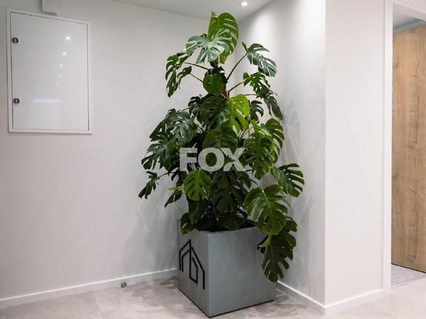 studio office for rent zakaki limassol 1593935 image 14175144