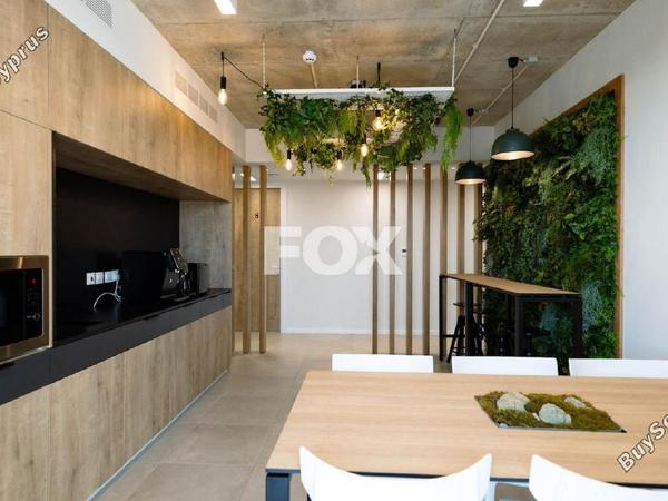studio office for rent zakaki limassol 1593935 image 14175155