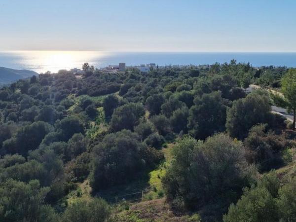 4 bedroom detached house for sale secret valley paphos 8629045 image 16028585