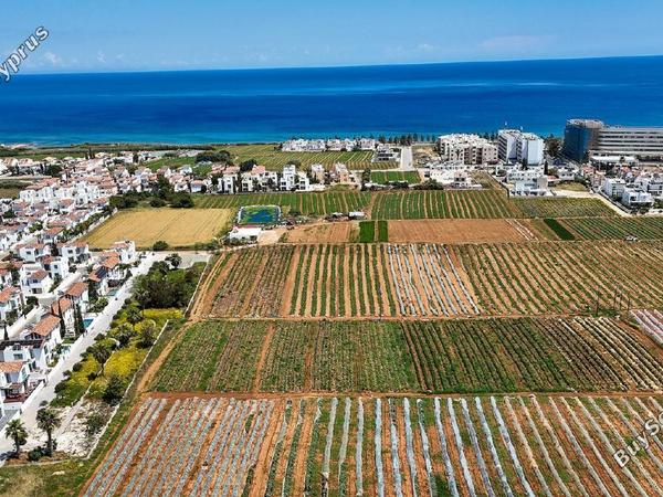 land for sale agia triada famagusta 7544045 image 15419669