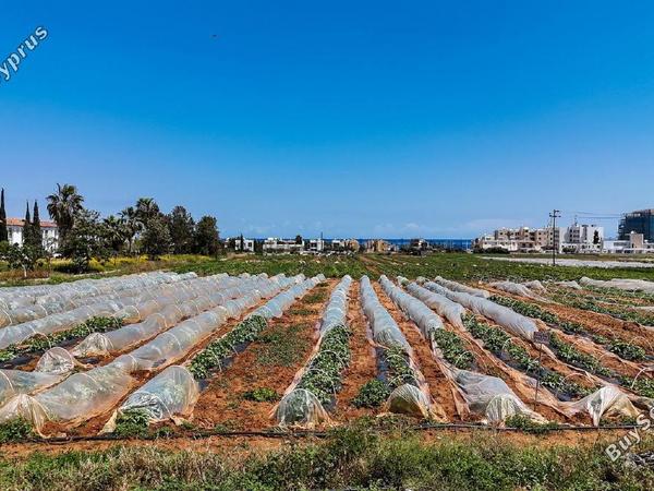 land for sale agia triada famagusta 7544045 image 15419671