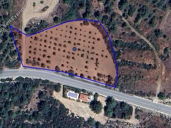 land for sale agios mamas limassol 1547045 image 5882551