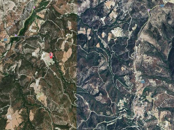 land for sale dora limassol 7806045 image 15596690