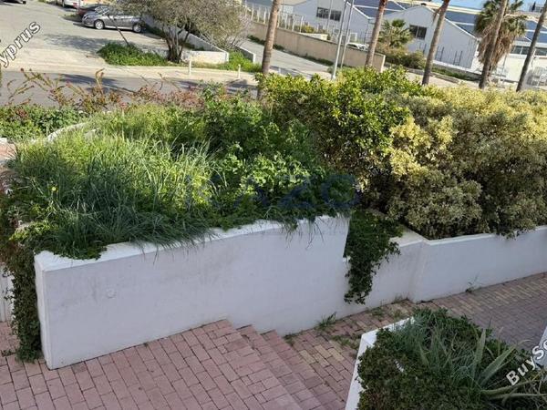 studio office for rent linopetra limassol 8302045 image 14087376