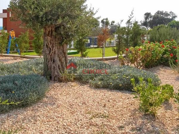 7 bedroom detached house for sale ayia napa famagusta 8322145 image 15290955