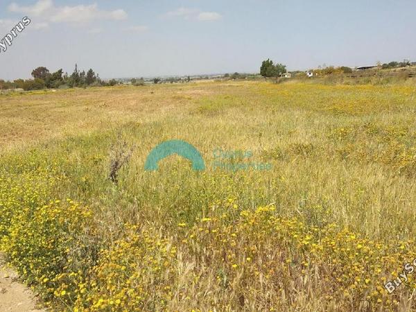 land for sale frenaros famagusta 922145 image 16011412