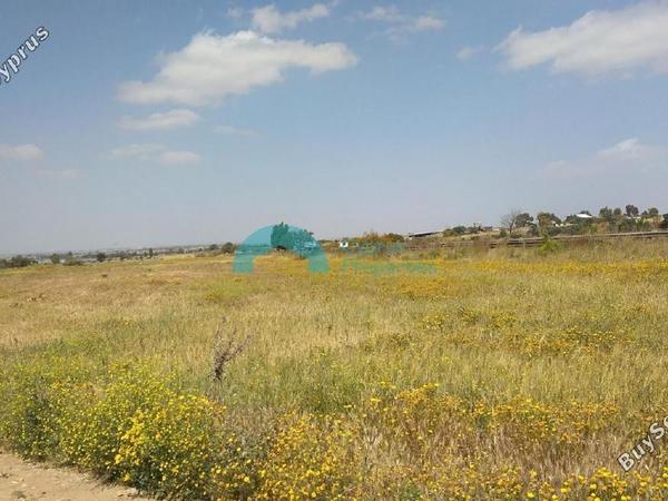 land for sale frenaros famagusta 922145 image 16011413