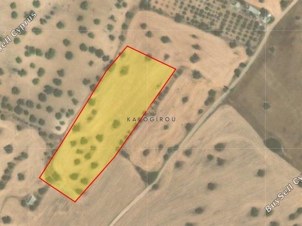 land for sale mazotos larnaca 1615145 image 5705025