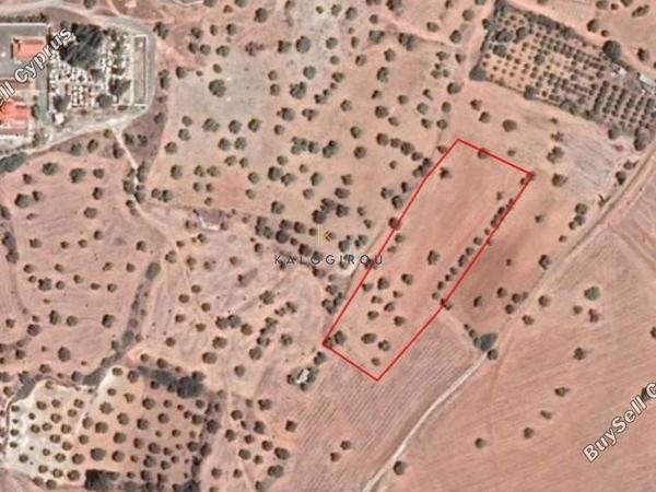 land for sale mazotos larnaca 1615145 image 5705026