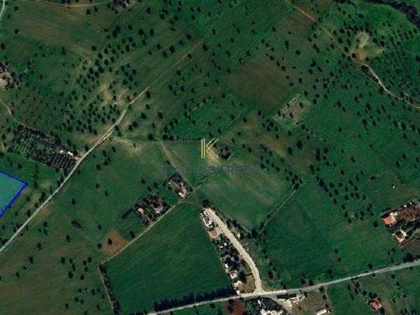 land for sale mazotos larnaca 1615145 image 5705029