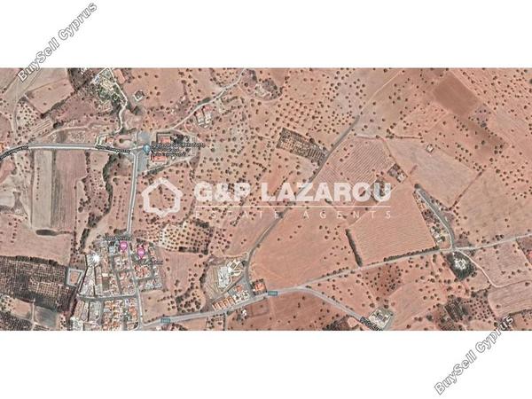 land for sale mazotos larnaca 1688145 image 6007304