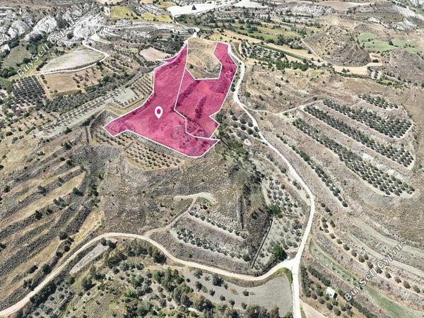 land for sale pera orinis nicosia 7872145 image 14030451