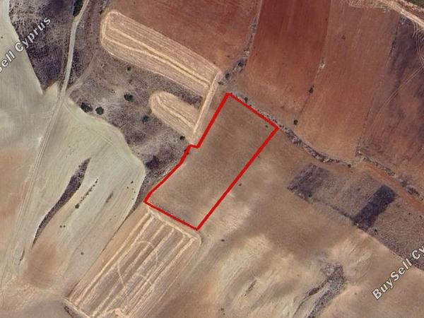 land for sale orounta nicosia 7463245 image 15664039