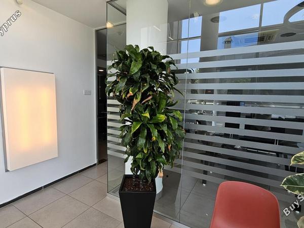 studio office for sale anavargos paphos 8786245 image 16667408