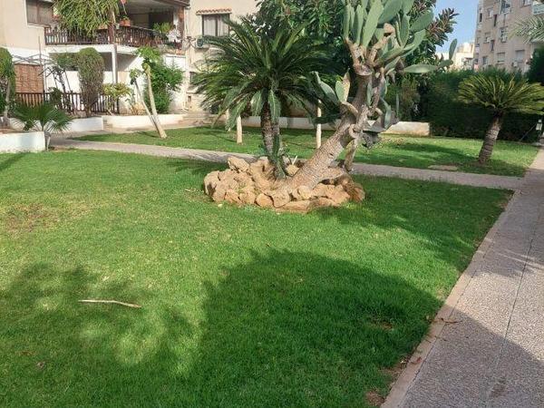 3 bedroom apartment for rent agios tychonas limassol 8763345 image 16544400