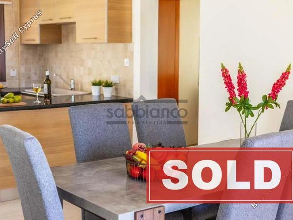 4 bedroom detached house sold kissonerga paphos 8746345 image 16522589