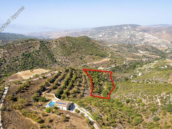 land for sale dora limassol 839345 image 5481669
