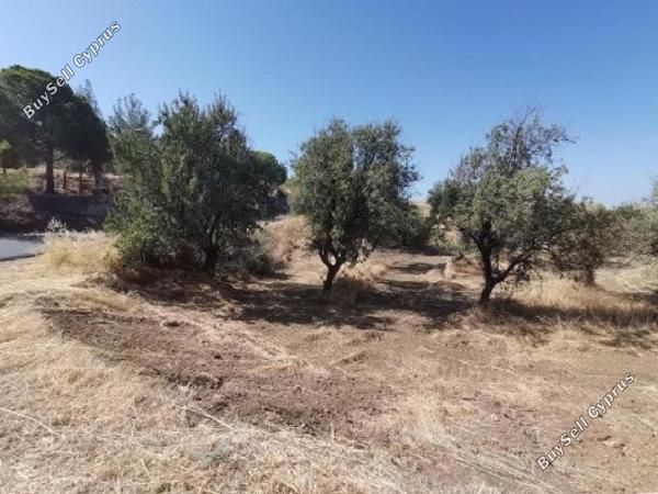 land for sale gialia paphos 946345 image 17103100