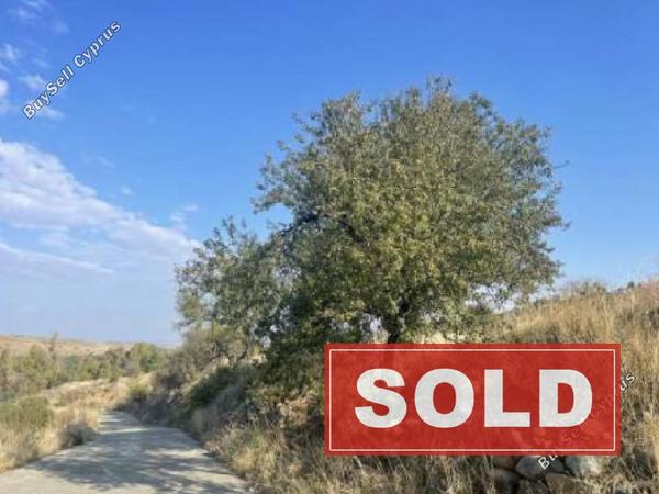 land sold kato moni nicosia 1193345 image 7640668