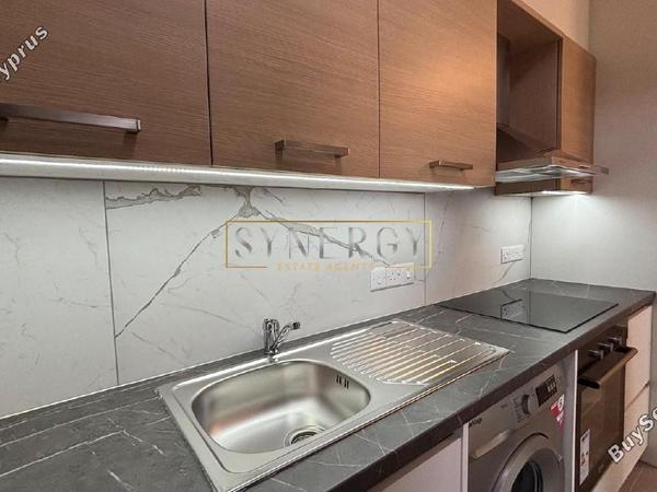 1 bedroom apartment for rent strovolos nicosia 1620445 image 16338648