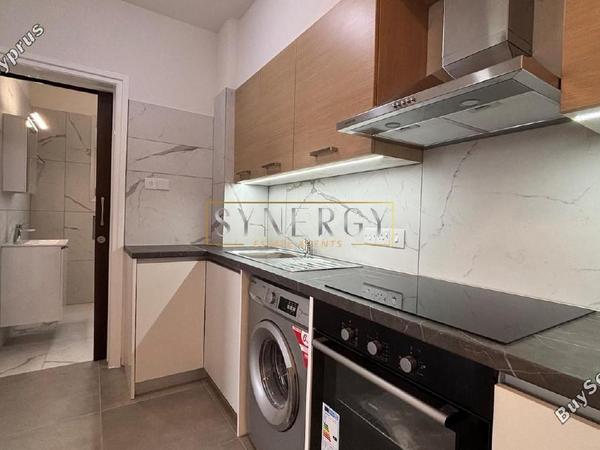 1 bedroom apartment for rent strovolos nicosia 1620445 image 16338649