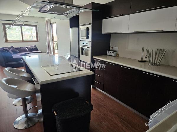 2 bedroom apartment for rent lofos tala paphos 8542445 image 16553559