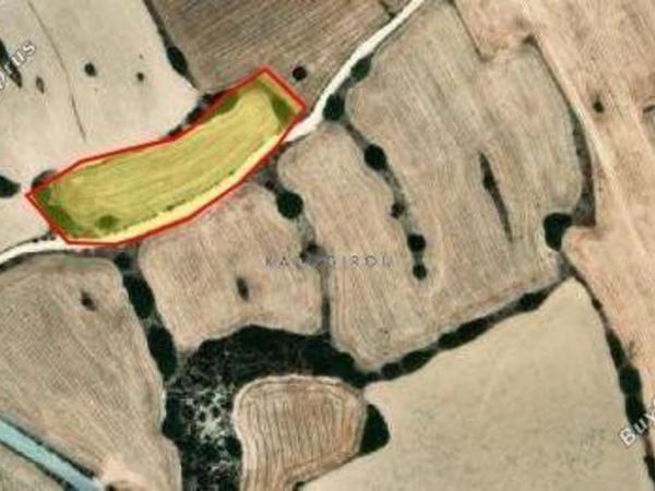 land for sale agios theodoros larnacas larnaca 1744445 image 5726486