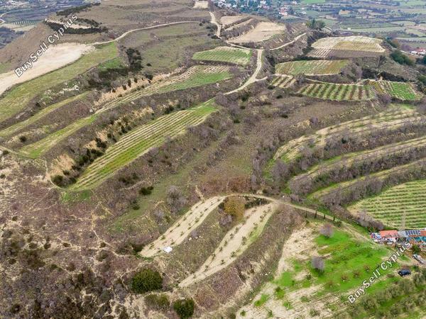 land for sale stroumbi paphos 7868445 image 15596398
